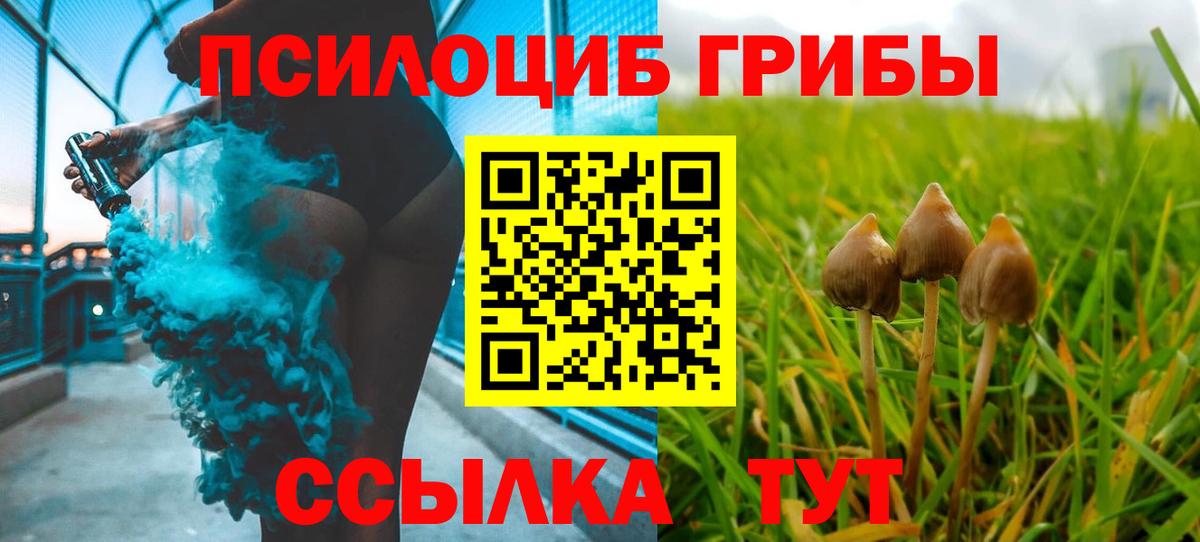 Псилоцибиновые грибы GOLDEN TEACHER Аксай